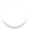 Scroll Top